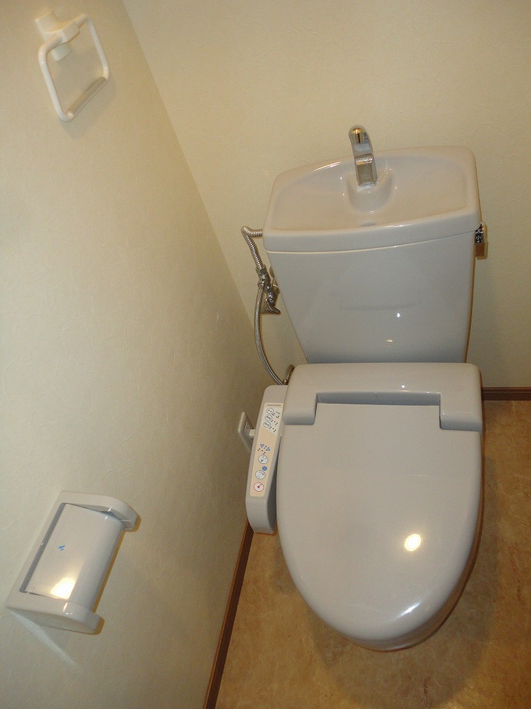 Toilet. There is also a shelf