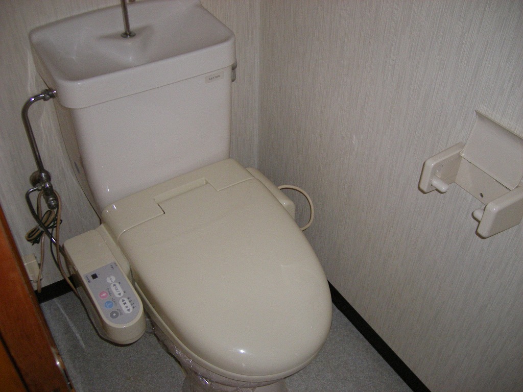 Toilet