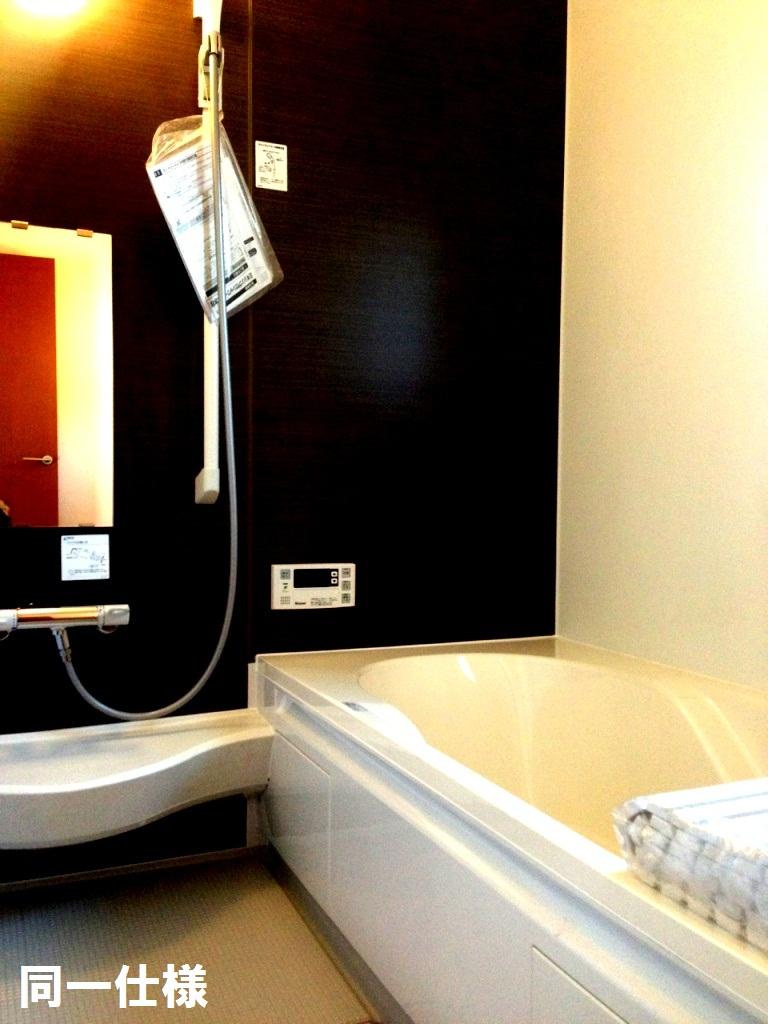 Same specifications photo (bathroom). With bathroom dryer