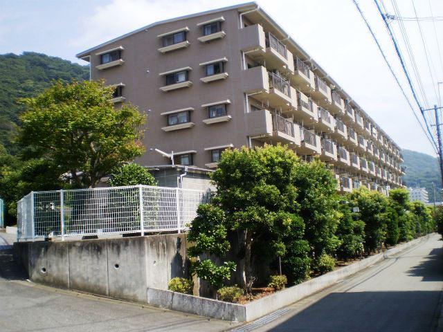 Local appearance photo. Local shooting