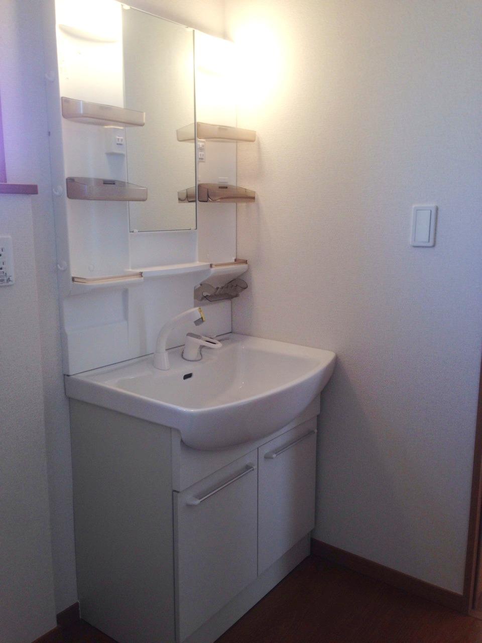 Wash basin, toilet. Shower Dresser
