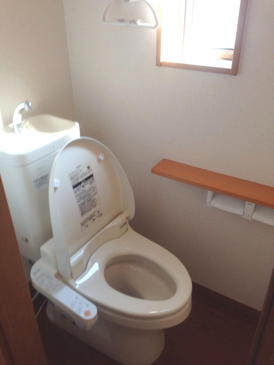 Toilet. Shower toilet