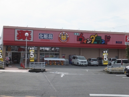 Dorakkusutoa. Wynn Dah land new Shimada shop 952m until (drugstore)