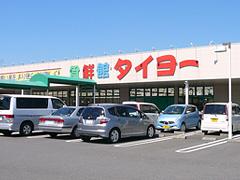 Supermarket. 608m to food 鮮館 Taiyo Doetsu shop