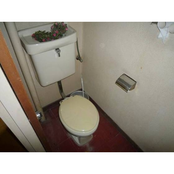 Toilet. Toilet