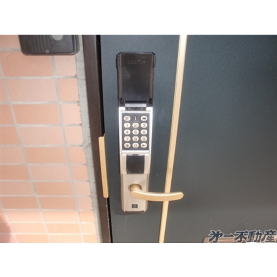 Security. Electronic lock