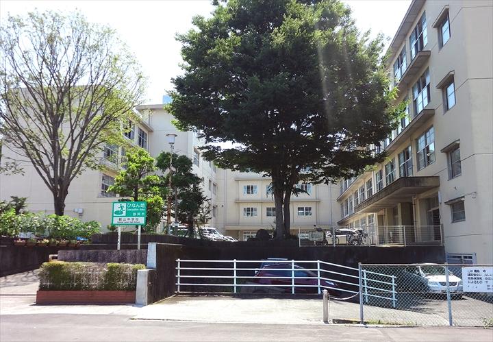 Junior high school. 1360m to Shizuoka Municipal prunus'kanzan 'junior high school