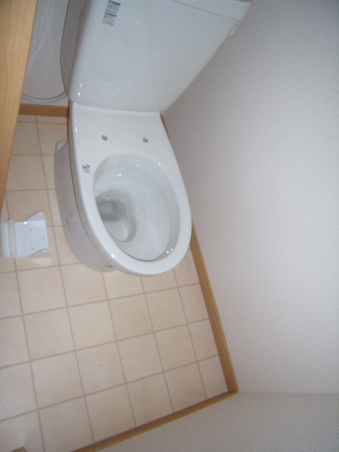 Toilet. Warm water washing toilet seat installed before