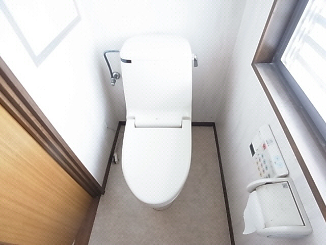 Toilet. The same image