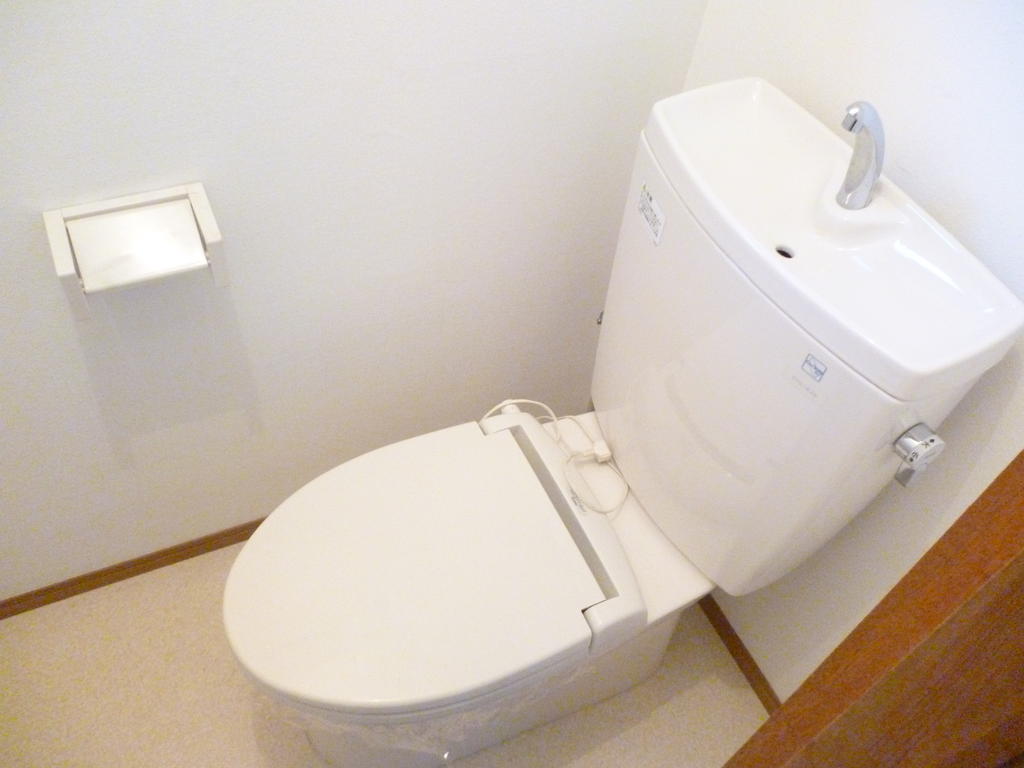 Toilet. It is Western-style type.