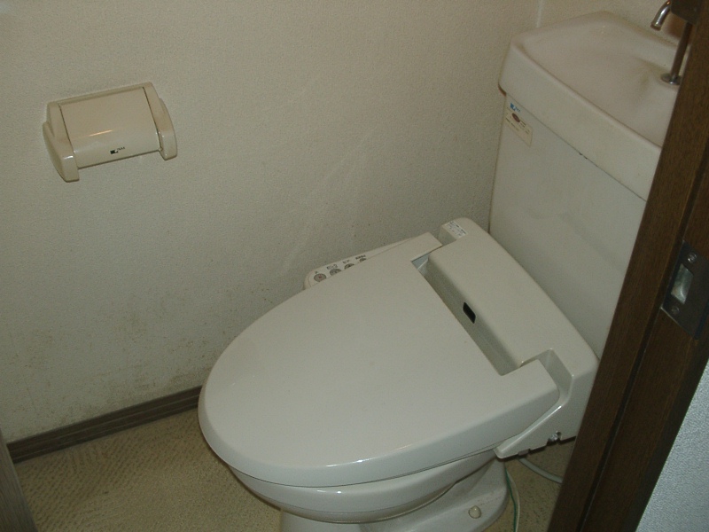 Toilet. Comfortable every day in the Washlet