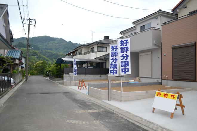 Local photos, including front road