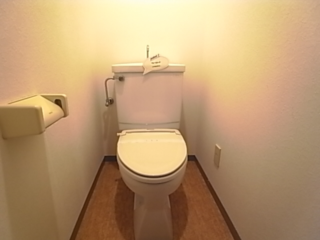 Toilet. The same image