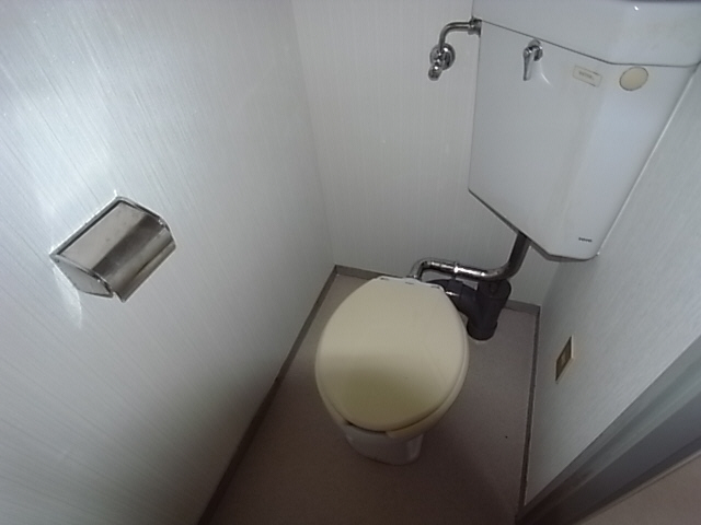 Toilet. The same image