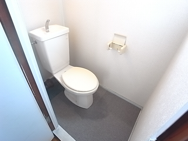 Toilet. The same image