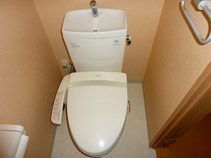 Toilet. Warm water washing toilet seat