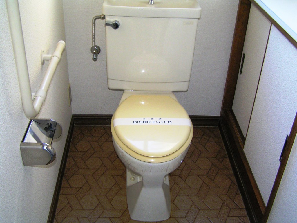 Toilet