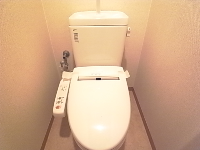 Toilet. The same image