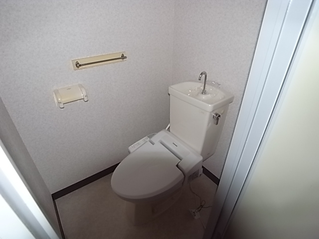 Toilet. The same image