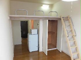 Living and room. Closet which is divided into two stages and the loft have