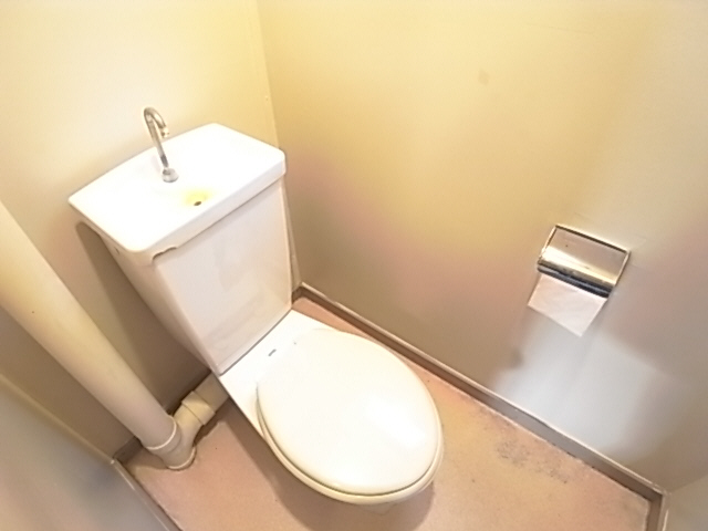 Toilet. The same image