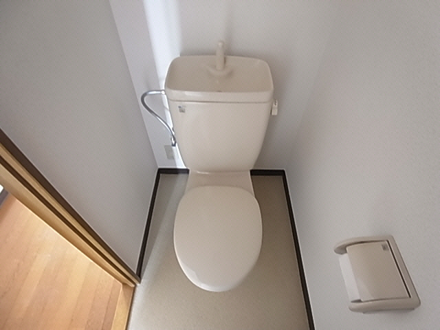 Toilet. The same image