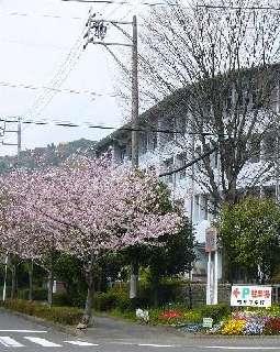 Junior high school. 1104m to Shizuoka Municipal Ryutsume junior high school
