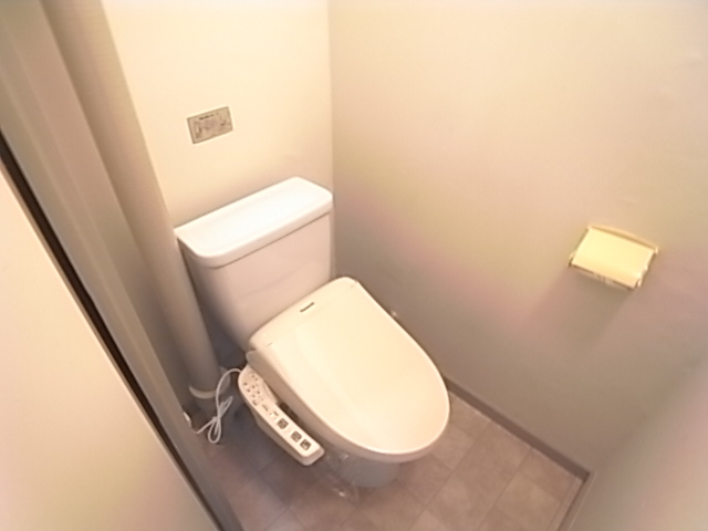 Toilet. The same image