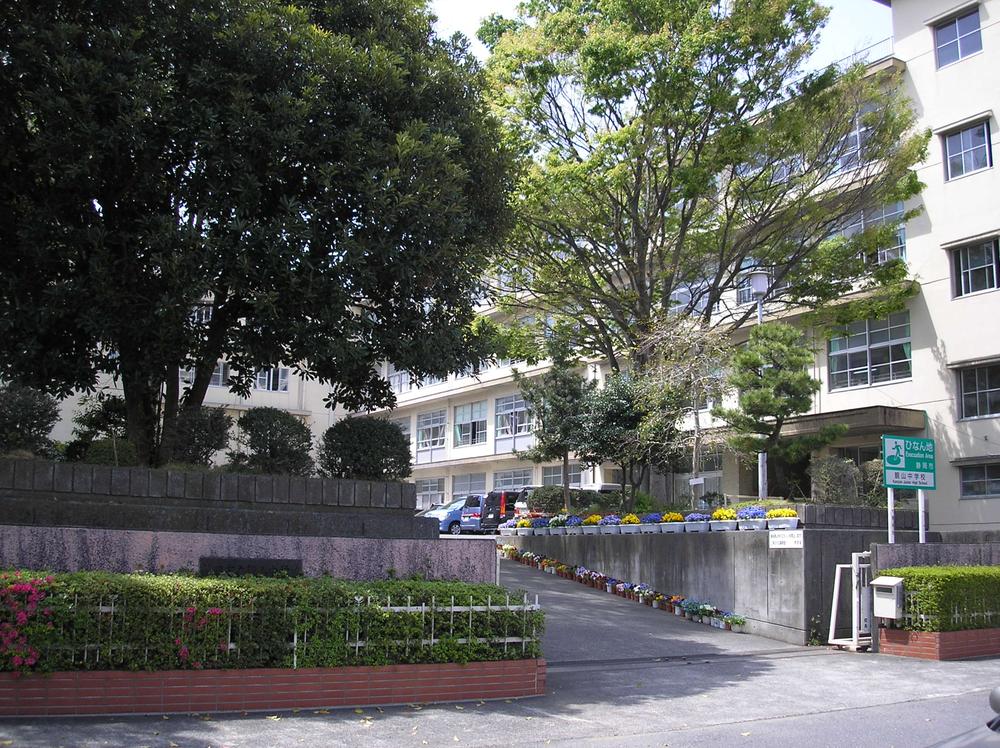 Junior high school. 633m to Shizuoka Municipal prunus'kanzan 'junior high school