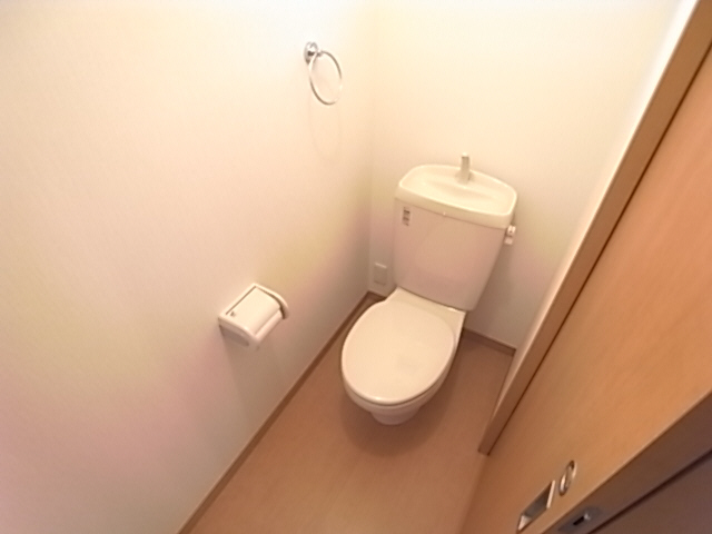 Toilet. The same image