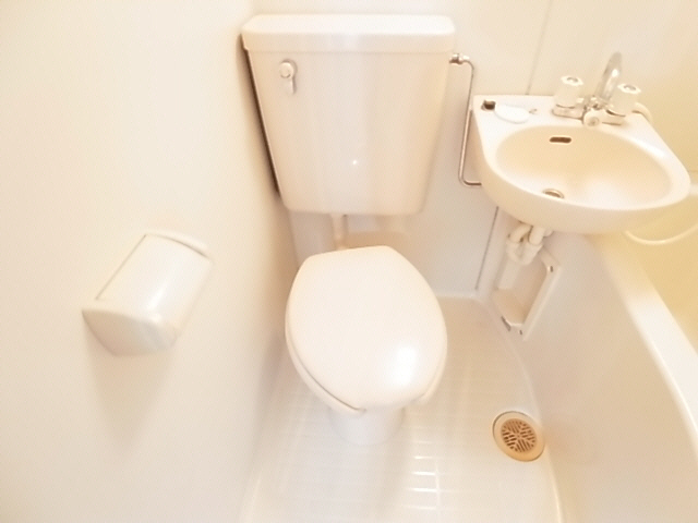 Toilet. The same image