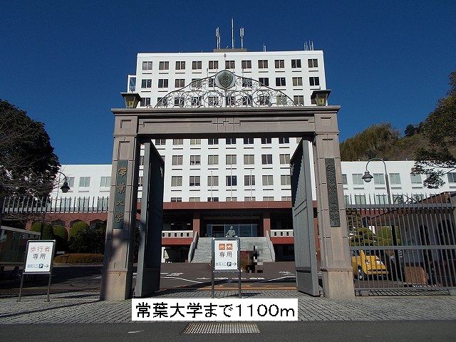 University ・ Junior college. Tokoha University (University ・ 1100m up to junior college)