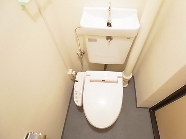 Toilet. The same image