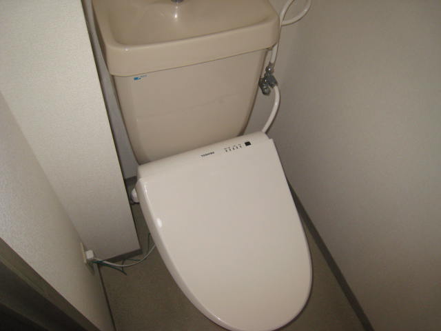 Toilet. Warm water washing toilet seat