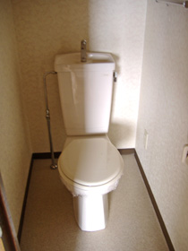 Toilet. Toilet