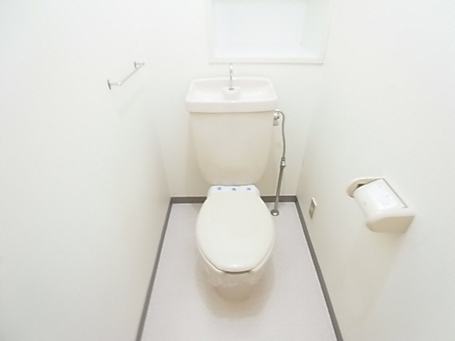 Toilet. The same image