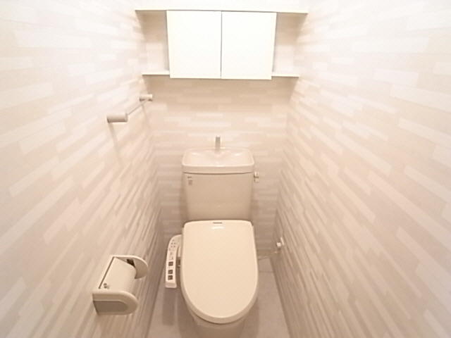 Toilet. The same image