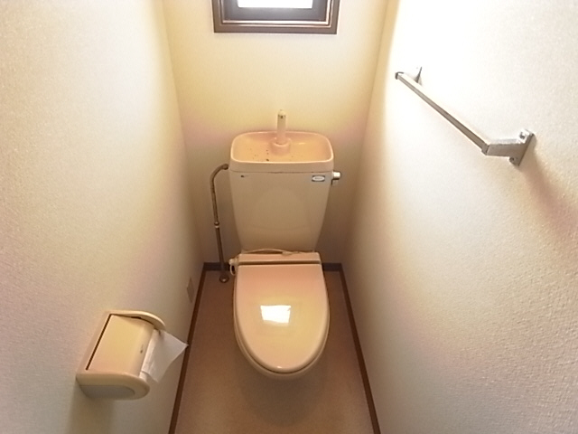 Toilet. The same image