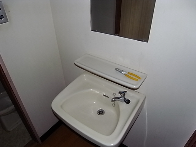 Washroom. The same image