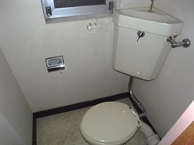 Toilet. The same image