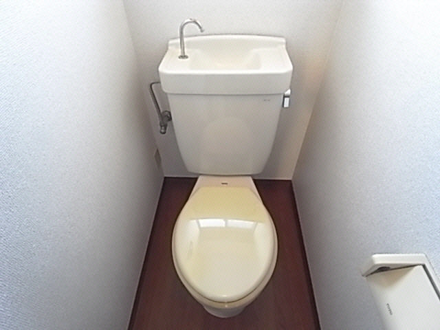 Toilet. The same image