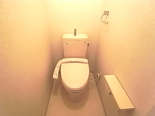 Toilet. The same image