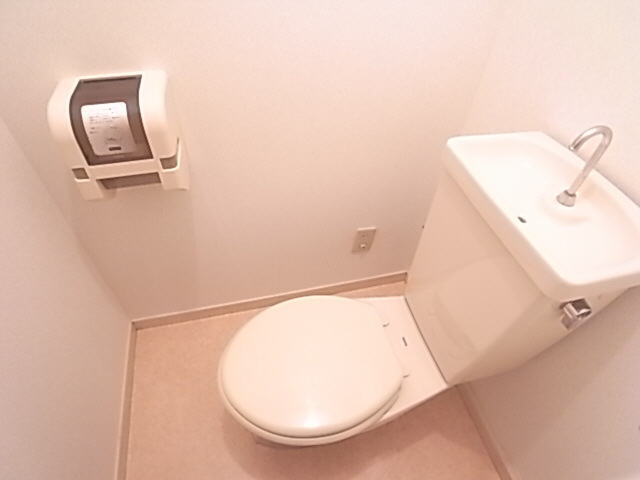 Toilet. The same image