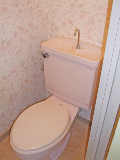 Toilet