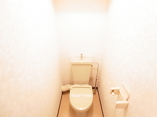 Toilet. The same image