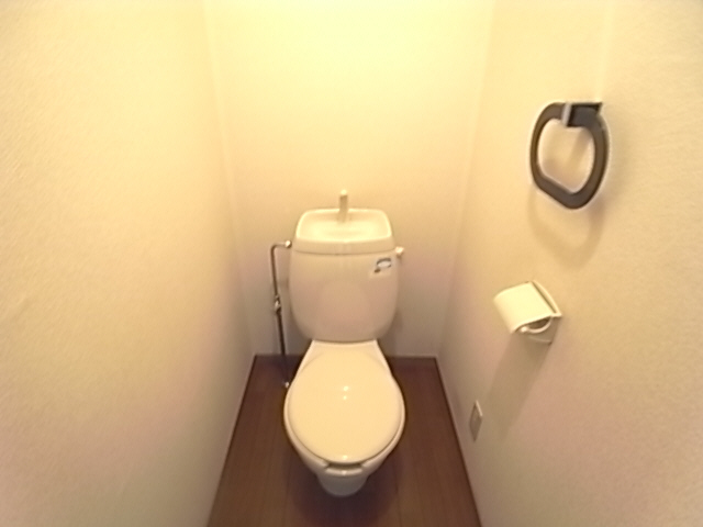 Toilet. The same image