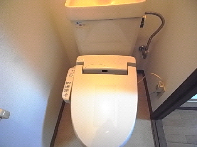 Toilet. The same image