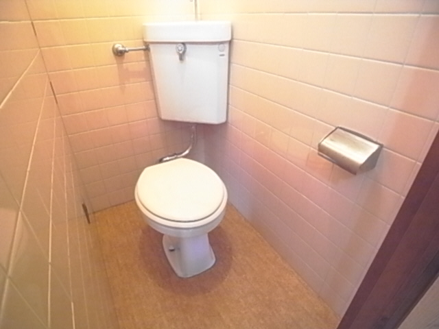 Toilet. The same image