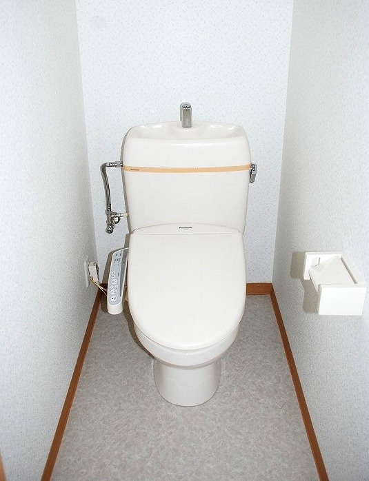 Toilet. Warm water washing toilet.
