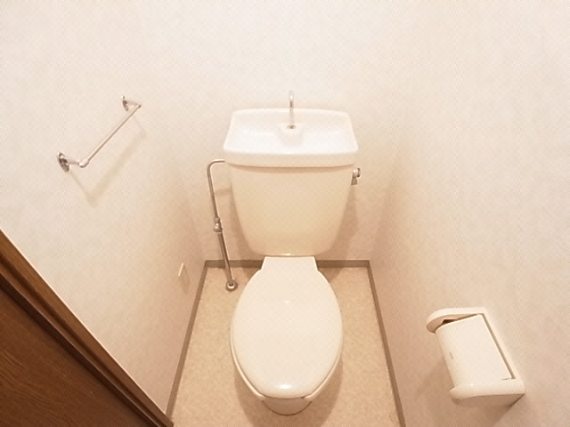 Toilet. Exchange before